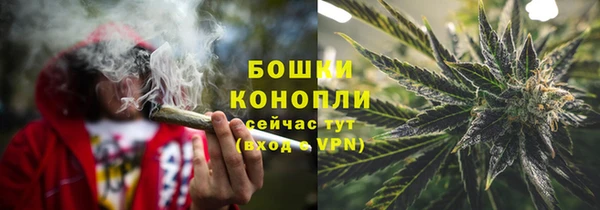 шишки Алзамай