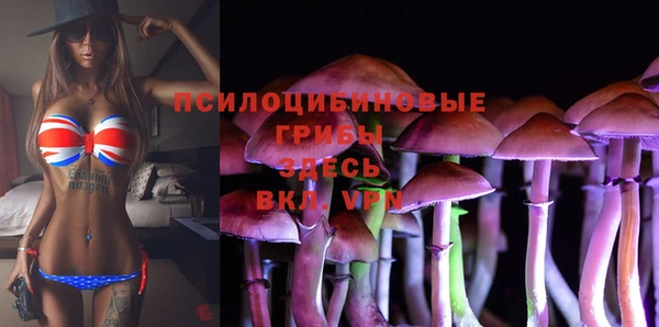 шишки Алзамай