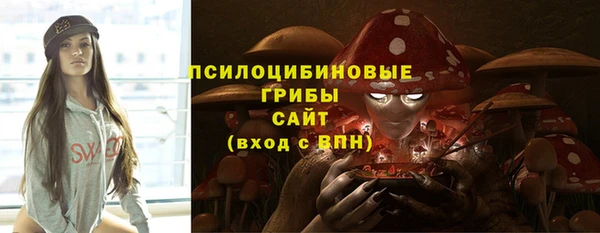 прущие крисы Алексин