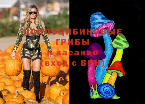 шишки Алзамай