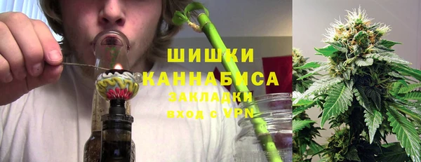 шишки Алзамай