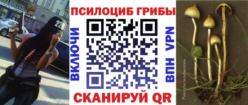 Галлюциногенные грибы Psilocybe  продажа наркотиков  Зуевка 